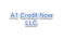 A1 CREDIT NOW LLC