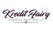 Kredit Fairy Financial Solutions LLC