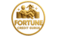 FORTUNE CREDIT GURUS
