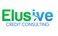 Elusive Credit Consulting