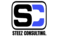 STEEZ CONSULTING LLC