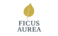 FICUS AUREA LLC